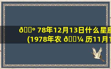 🌺 78年12月13日什么星座(1978年农 🐼 历11月13日是什么星座)